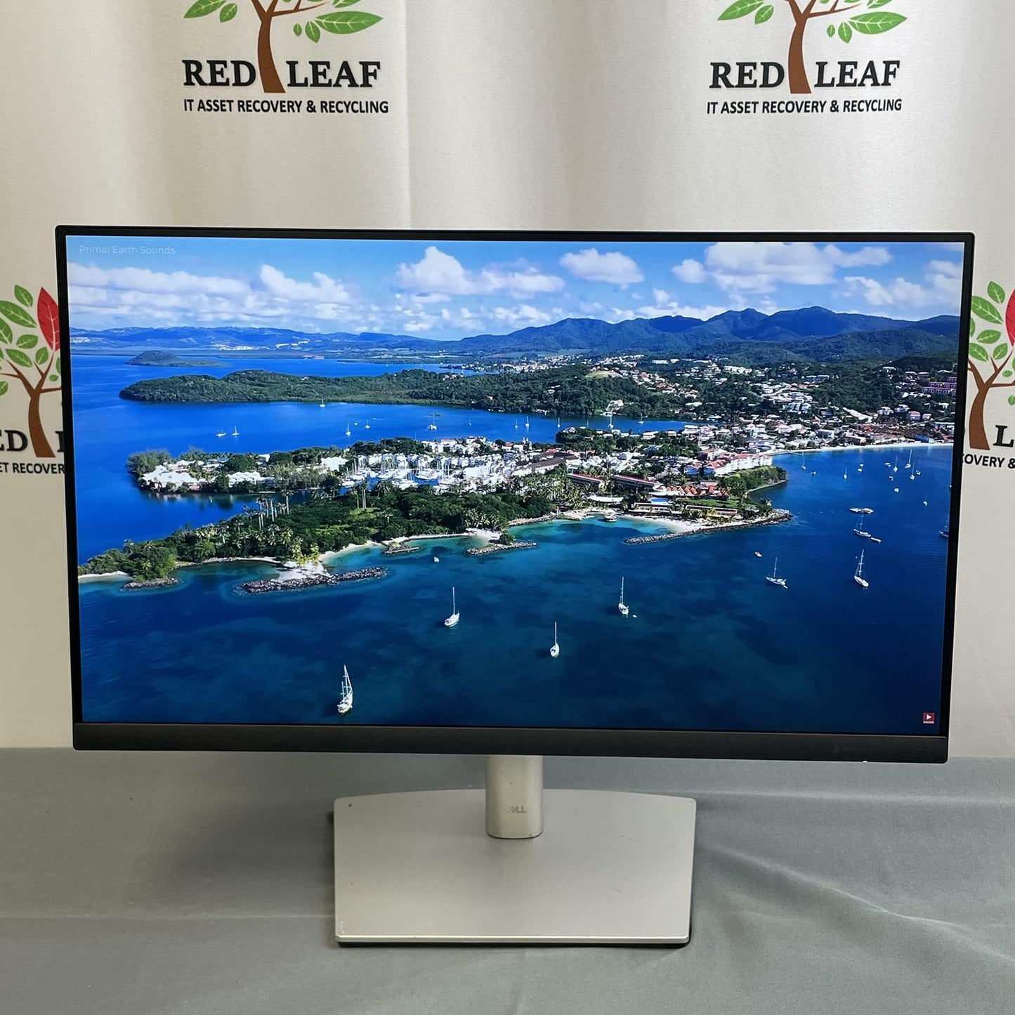 DELL 22 in Monitor P2222H, IPS LCD, 1920 x 1080 (1080p) 60 Hz, HDMI, DisplayPort