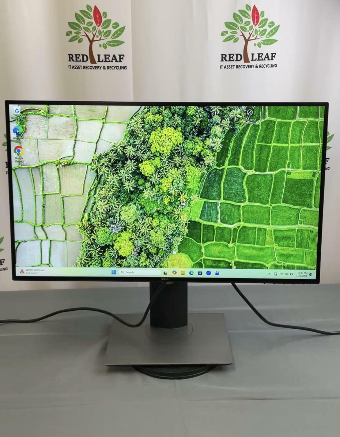 DELL 25 in UltraSharp Monitor U2520D, IPS LCD, 2560 x 1440, 60 Hz