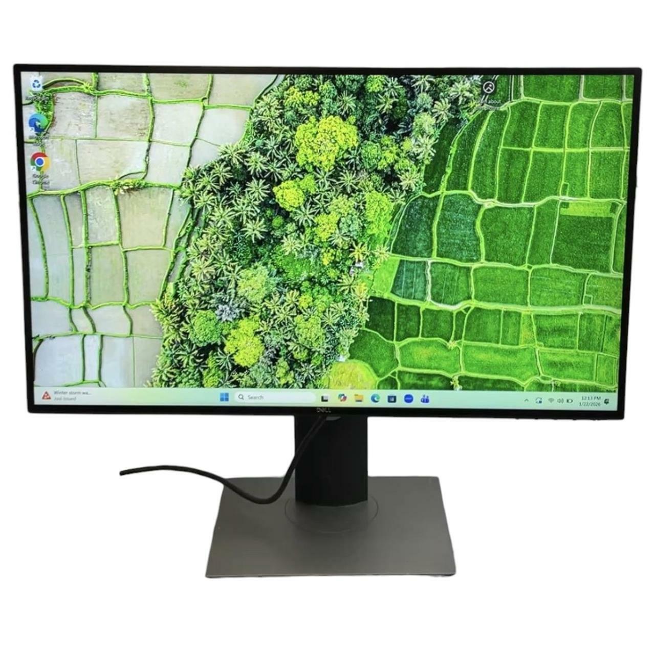 DELL 25 in UltraSharp Monitor U2520D, IPS LCD, 2560 x 1440, 60 Hz