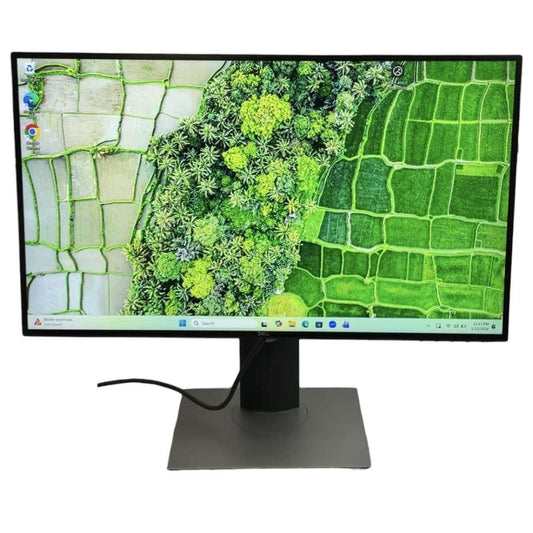 DELL 25 in UltraSharp Monitor U2520D, IPS LCD, 2560 x 1440, 60 Hz